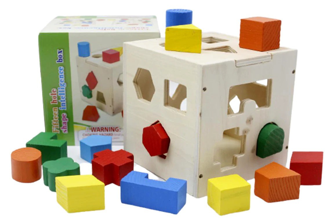 Wooden Shape Sorter Toy | 15-Hole Intelligence Box with Colorful Geometric Blocks | Educational Toy for Toddlers